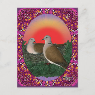 Cartão Postal Doves emoldurados