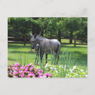 Cartão Postal Dow Gardens, Midland, Michigan