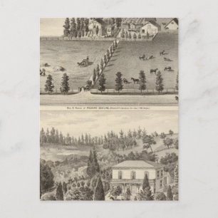 Cartão Postal Dowling, Residências Marston