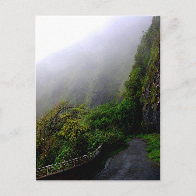 Cartão postal "Down the Beaten Path" (Frente)