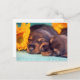 Cartão Postal Doxen cachorros adoráveis (Frente/Verso In Situ)