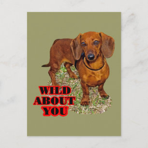 Cartão Postal Doxi Lover