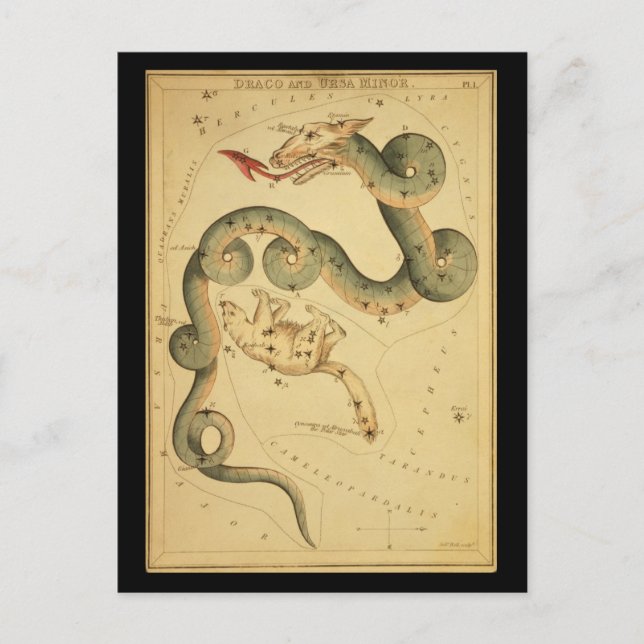 Cartão Postal Draco e Ursa Menor (Frente)