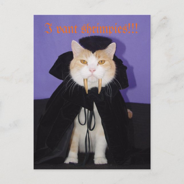 Cartão Postal Dracula Bubba (Frente)