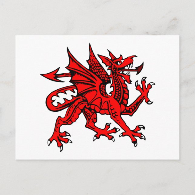Cartão Postal Dragão galês (Frente)