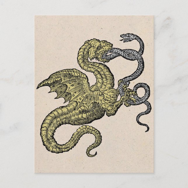 Cartão Postal Dragão ouro e Cobra de prata (Frente)