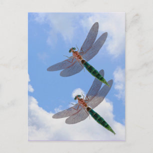 Cartão Postal Dragonflies Blue Sky Clouds Nature Postcard