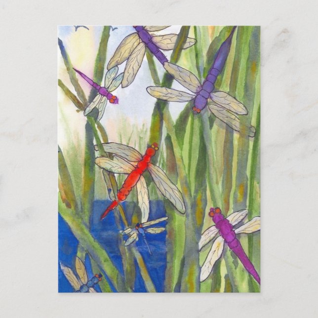 Cartão Postal Dragonflies Summer (Frente)