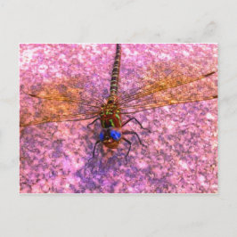 Cartão Postal Dragonfly