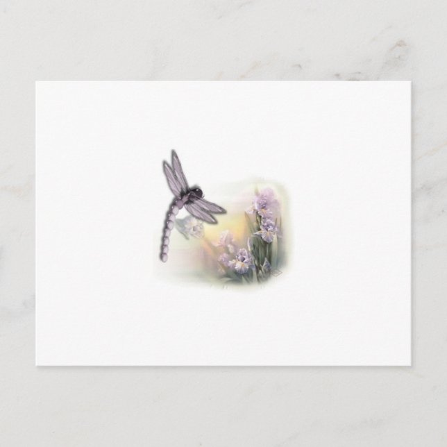 Cartão Postal Dragonfly (Frente)