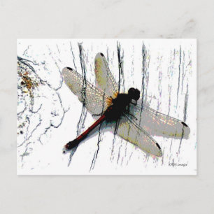 Cartão postal Dragonfly Art