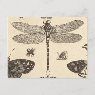 Cartão Postal Dragonfly (detalhe) Natureza de arte ventimétrica