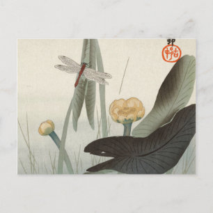 Cartão Postal Dragonfly e Lotus, 1920 por Ohara Koson