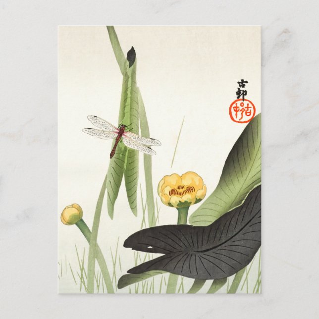 Cartão Postal Dragonfly e Lotus por Ohara Koson, Arte Japonesa, (Frente)