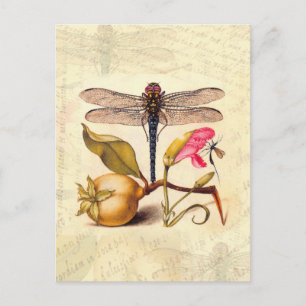Cartão Postal Dragonfly, Pear, Cravo e Insetos