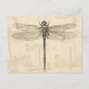 Cartão Postal Dragonfly Vintage Natureza Clássica Antica