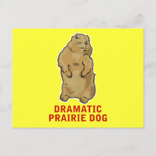Cartão Postal Dramatic Prairie Dog