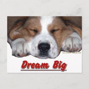 Cartão Postal Dream Big Dog