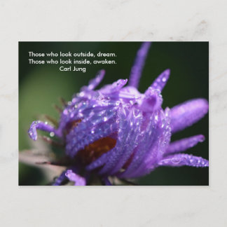Cartão Postal Dream e Awaken