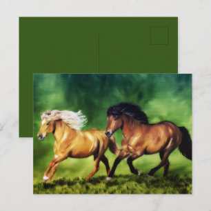 Cartão Postal Dream Team - Cavalos Islandeses