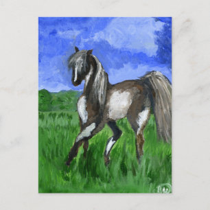 Cartão Postal Dreamer pinto cavalo