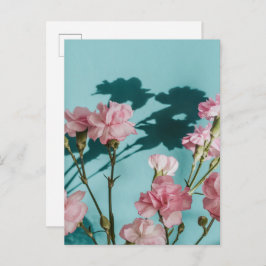 Cartão Postal Dreamy pink carnation flowers on blue background