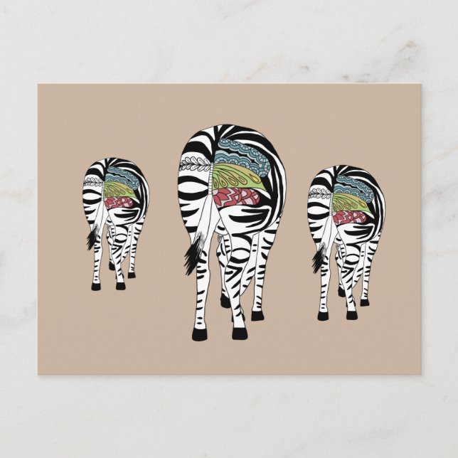 Cartão Postal Drei Zebras  (Frente)