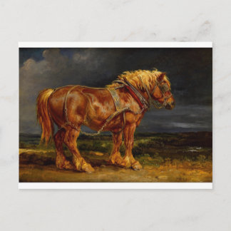 Cartão Postal Dressage Show Horse