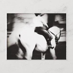 Cartão Postal Dressagem
