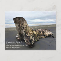 Driftwood na praia de Benson, no Cabo Desapontado,