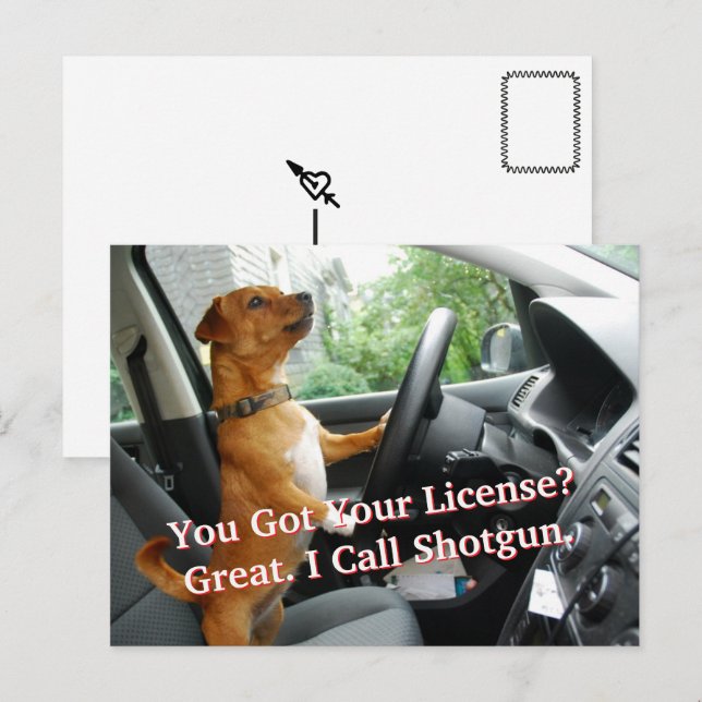 Cartão Postal Driver’s License Congratulations Postcard (Frente/Verso)