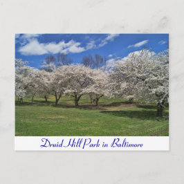 Cartão Postal Druid Hill Park na Primavera