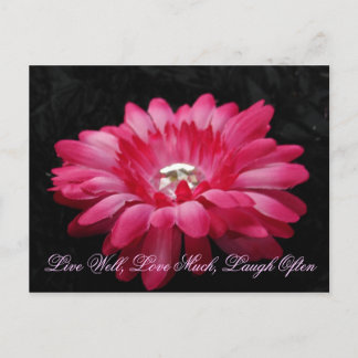 Cartão Postal DSC00005 (2), Live Good, Love Much, Laugh Frequent