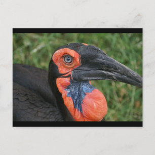 CARTÃO POSTAL DSC00171