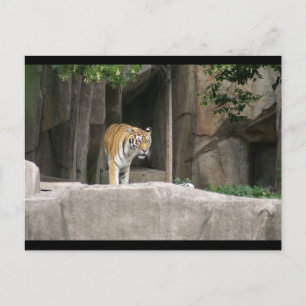 CARTÃO POSTAL DSC00222