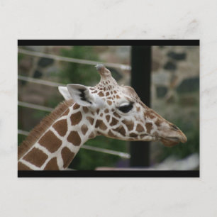 CARTÃO POSTAL DSC00238