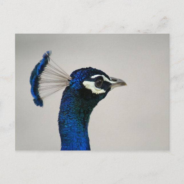 CARTÃO POSTAL DSC00292 (Frente)