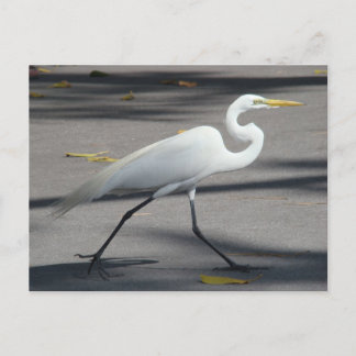 CARTÃO POSTAL DSC02335