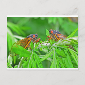 Cartão Postal DSC_3480ps.jpg