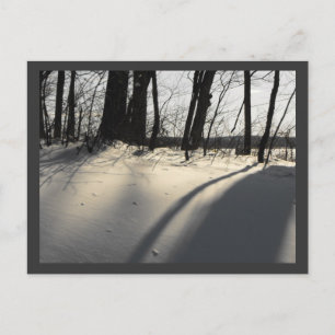 CARTÃO POSTAL DSCF1204