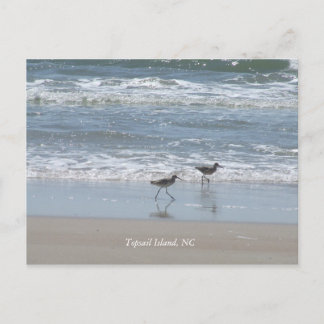 Cartão Postal DSCF2949, Topsail Island, NC