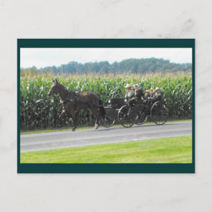 Cartão Postal DSCF5964a