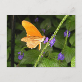 CARTÃO POSTAL DSCF9699