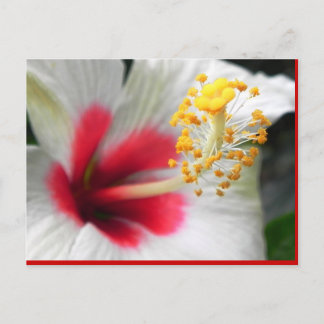 CARTÃO POSTAL DSCN0387