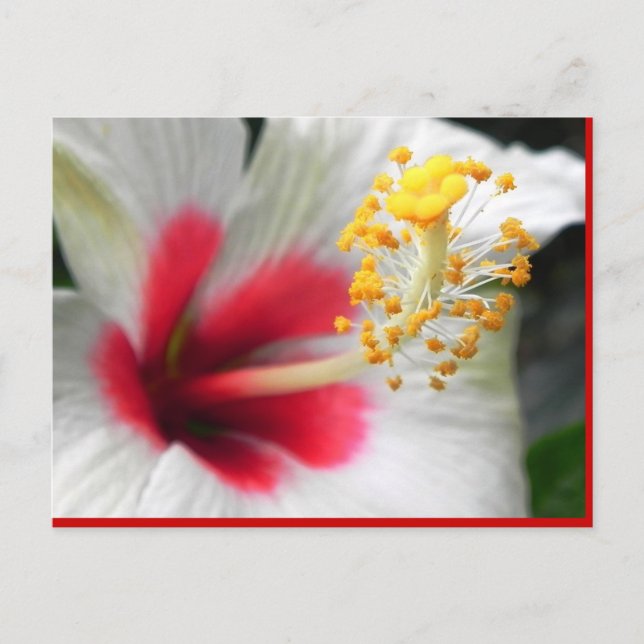 CARTÃO POSTAL DSCN0387 (Frente)