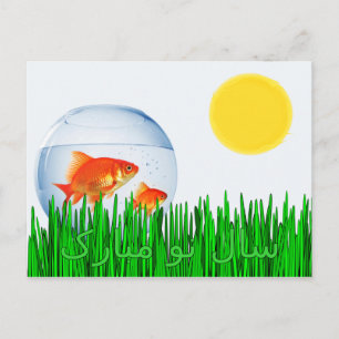 Cartão Postal Duas س de Grama Dourfish Sun Primavera Equinox ا ل