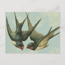 Cartão Postal Duas andorinhas