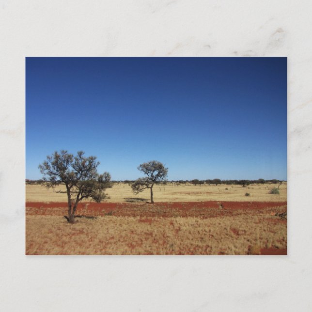 Cartão Postal Duas Árvores (Frente)