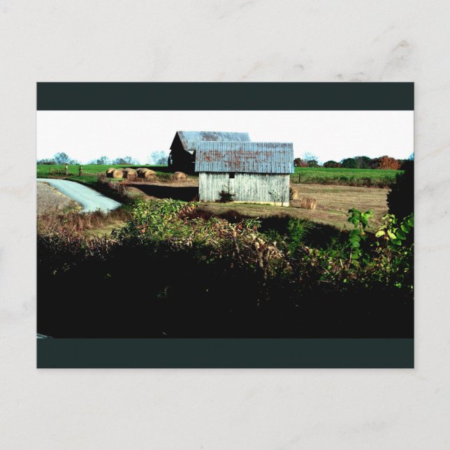 Cartão Postal Duas Barns (Frente)