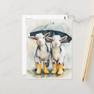 Cartão Postal Duas Cabras de Bebê em um Dia de Chuva